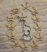 Adorable Elephant Baby Milestone Disc for Photos